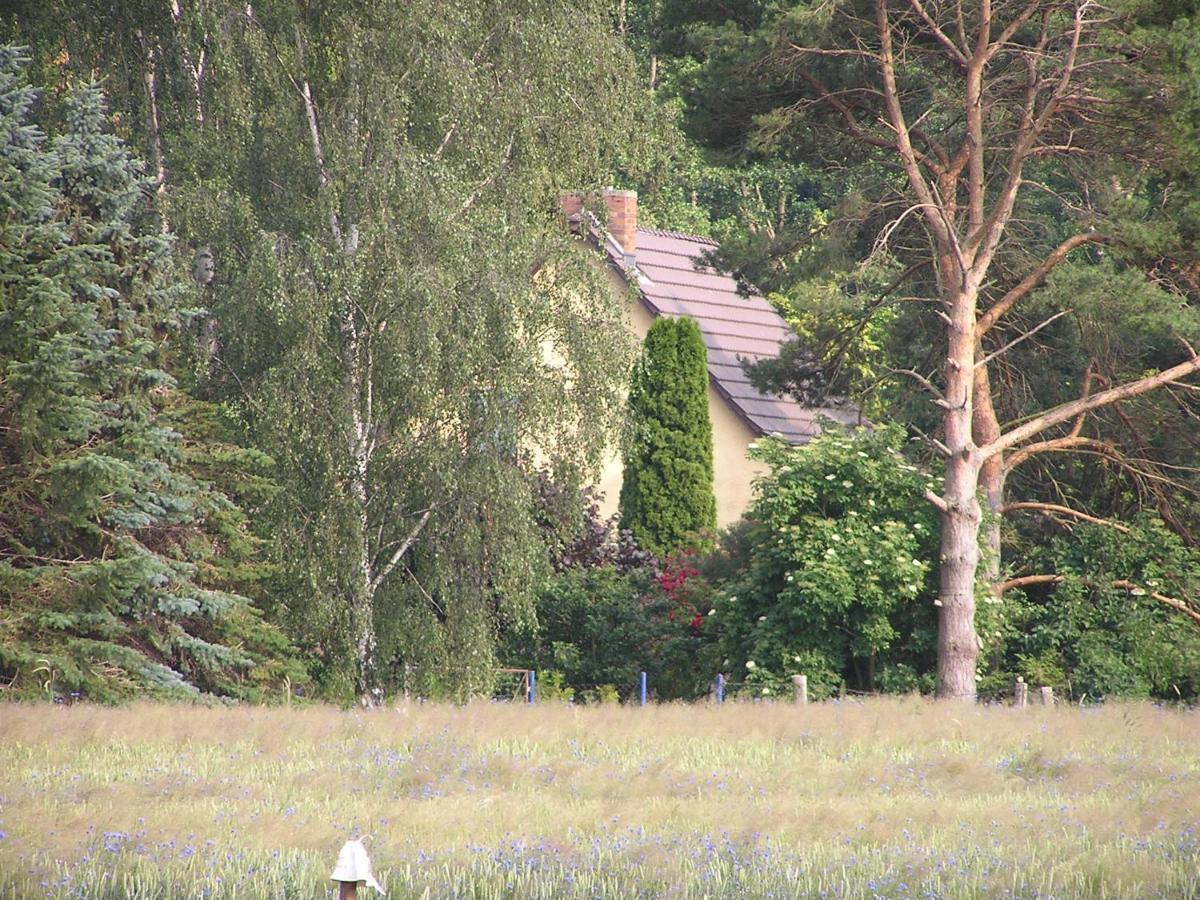 Peeneurlaub Lassan Eksteriør bilde